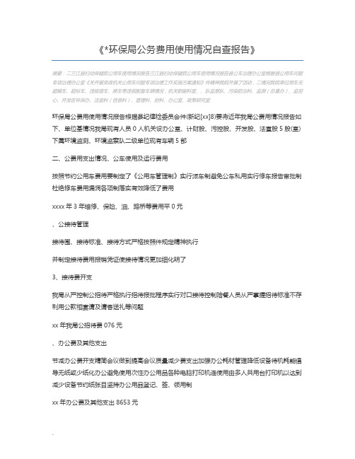 环保局公务费用使用情况自查报告