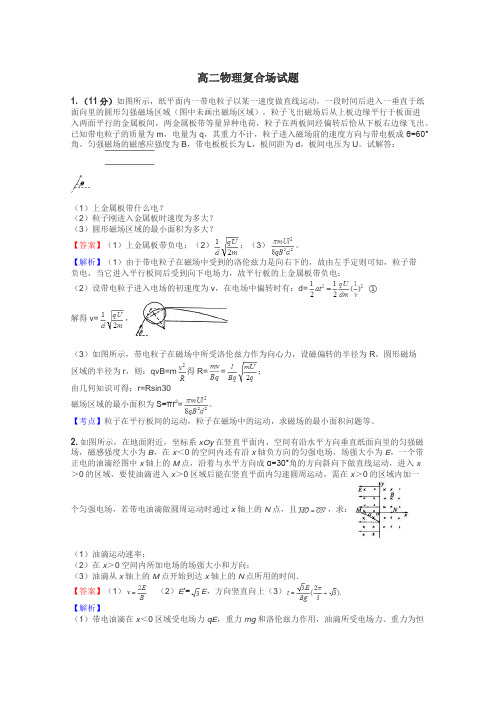 高二物理复合场试题
