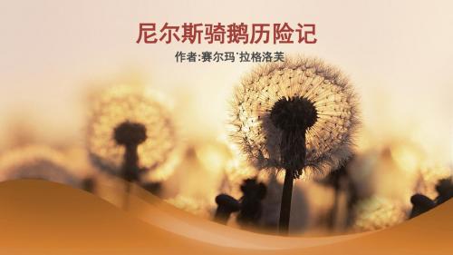 【精品】语文s版六年级小学语文上册课件：5《尼尔斯骑鹅历险》PPT