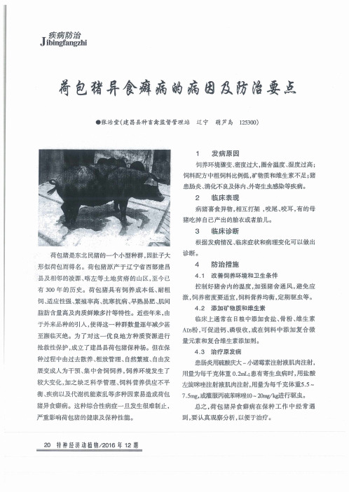 荷包猪异食癖病的病因及防治要点