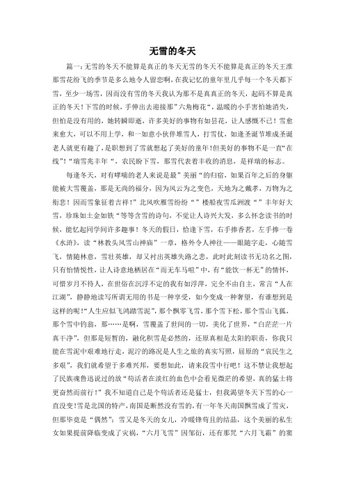 最新-无雪的冬天 精品