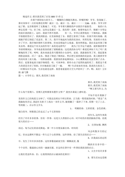 那次我受到了启发(600字)作文
