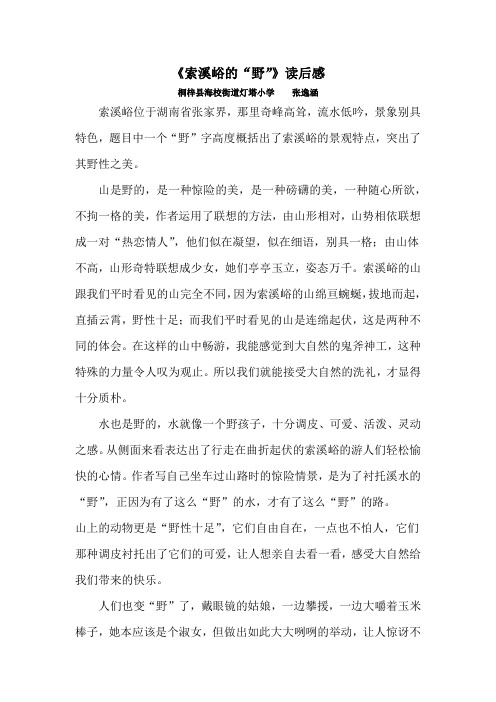 索溪峪的读后感