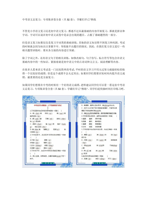 中考语文总复习：专项集训卷全套(共32套),学霸们早已“熟练”