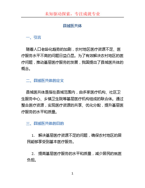 县域医共体ppt