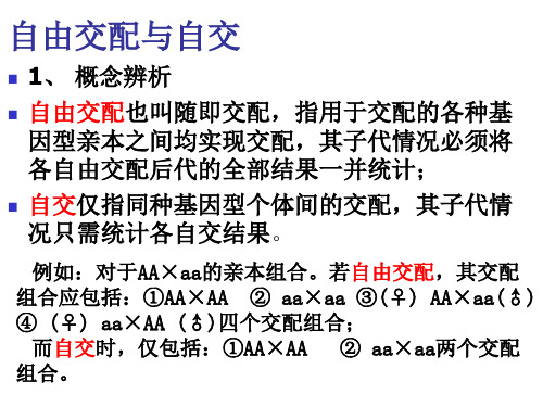 必修2、1-2、自由组合定律