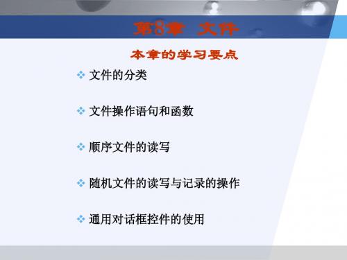 Visual Basic  第8章 文件