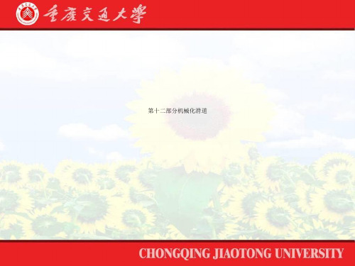 第十二部分机械化滑道