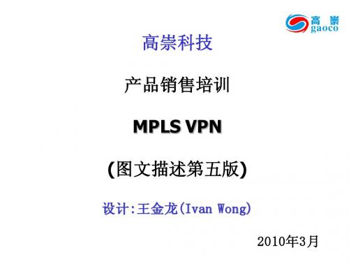 MPLS VPN专题培训资料