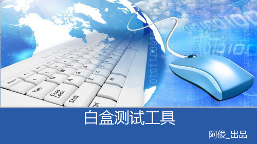 白盒测试工具