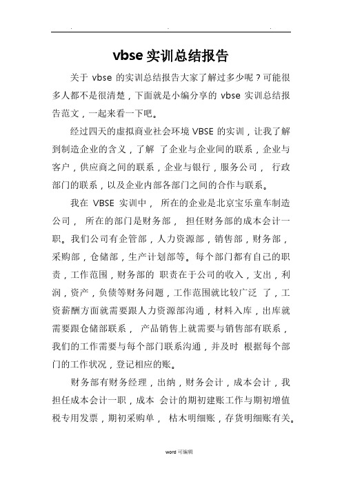vbse实训总结报告