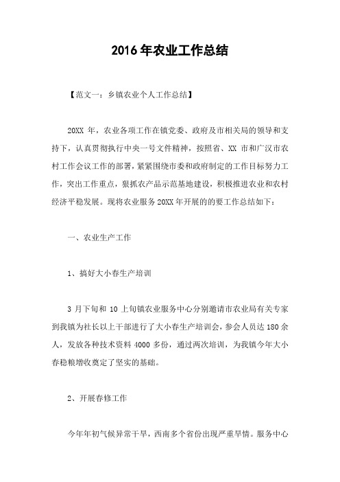 2016年农业工作总结