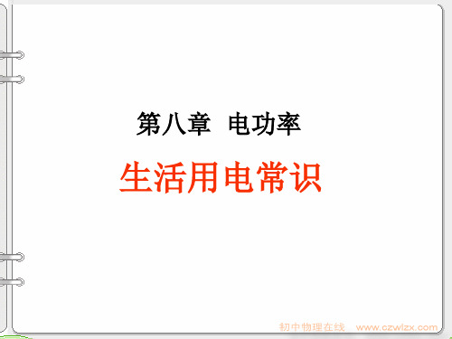 新人教版《8.6生活用电常识1》ppt