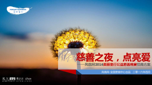 凤凰网2017美丽童行公益慈善晚宴招商方案