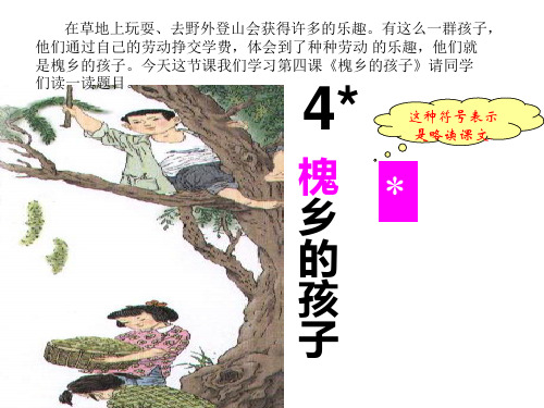 4槐乡的孩子ppt
