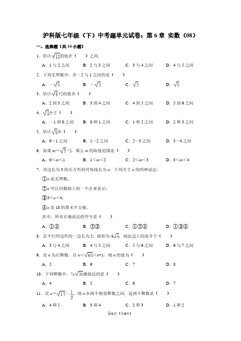 沪科版七年级(下) 中考题单元试卷：第6章 实数(08)