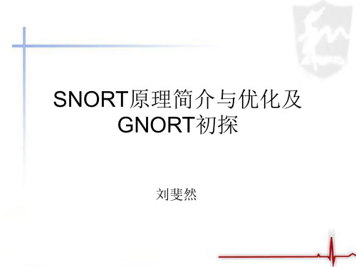 Snort原理分析--OTN初始化