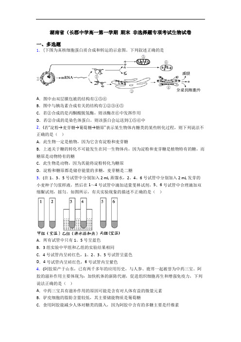 湖南省(长郡中学高一第一学期 期末 非选择题专项考试生物试卷