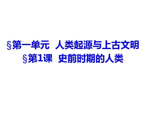 史前时期的人类PPT课件