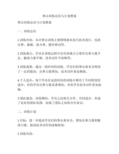 拳击训练总结与计划教案
