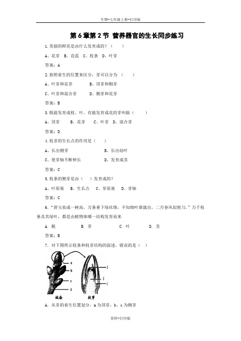 北师大版生物-七年级上册-营养器官的生长 精品同步练习