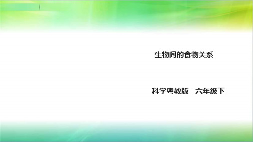 粤教版小学科学六年级下册科学3.16《生物间的食物关系》课件(23张PPT)