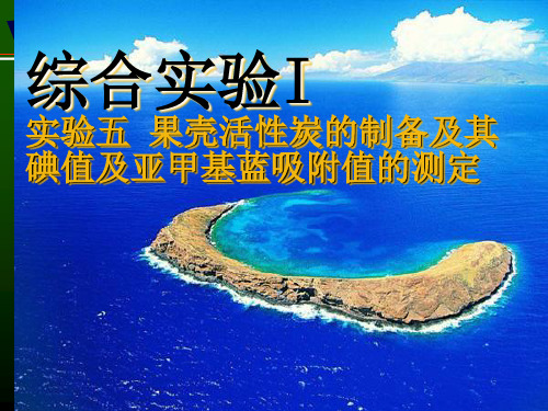 活性炭的制备及其碘值及亚甲基蓝吸附值的测定-文档资料