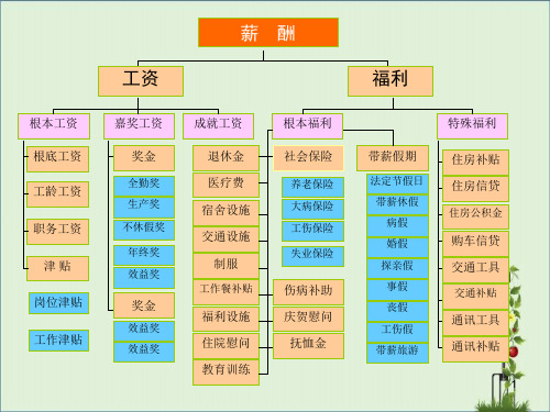 《薪酬绩效》课稿