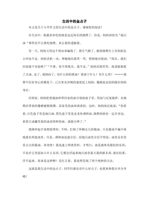 生活中的金点子_小学作文