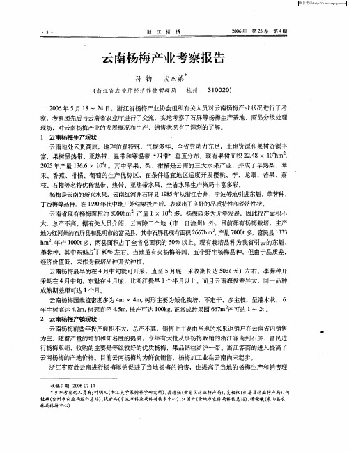 云南杨梅产业考察报告