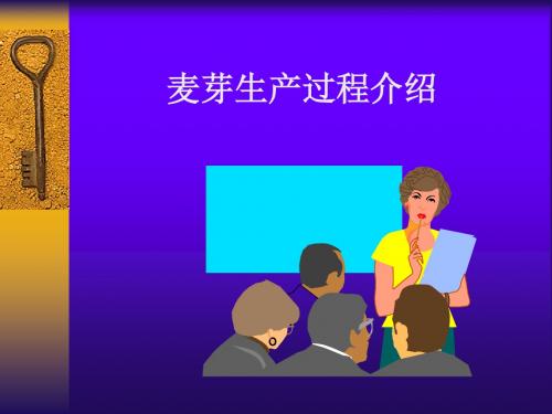 麦芽生产过程介绍