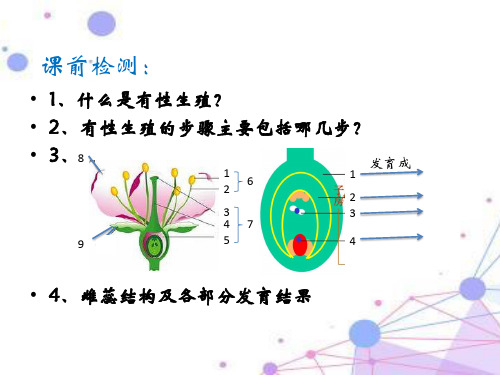 第一节 被子植物的无性生殖