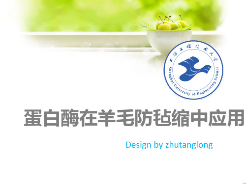 蛋白酶在羊毛防毡缩中应用