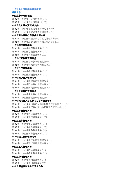 小企业会计准则实务操作指南