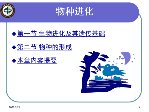 物种进化的历史进程--强烈推荐ppt课件