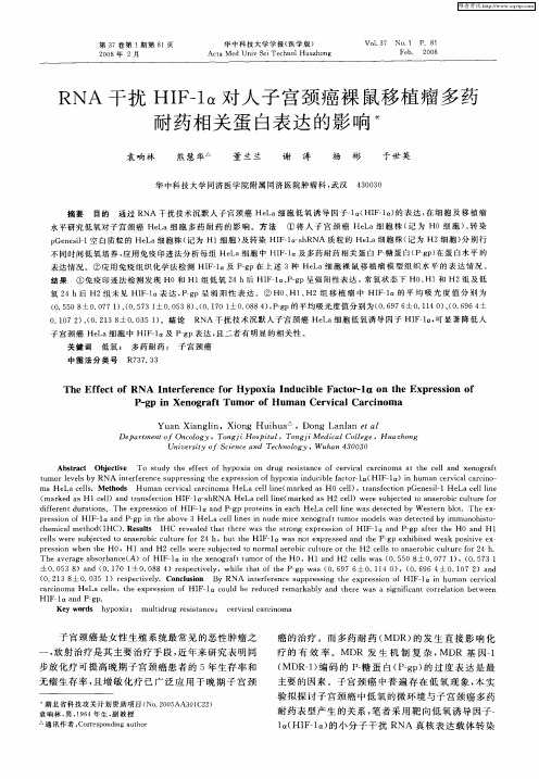 RNA干扰HIF-1α对人子宫颈癌裸鼠移植瘤多药耐药相关蛋白表达的影响