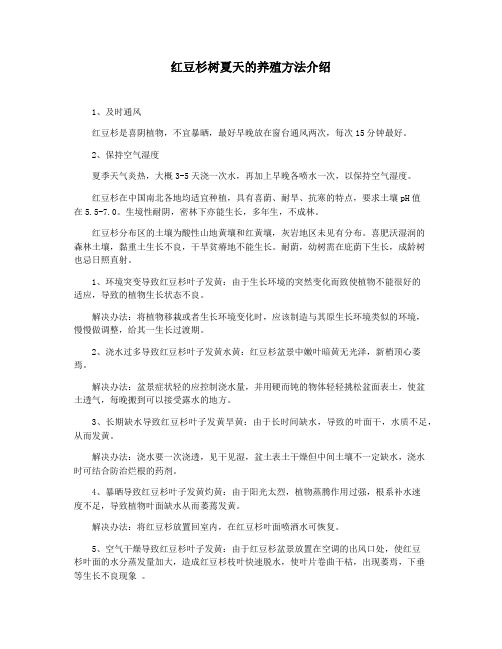 红豆杉树夏天的养殖方法介绍