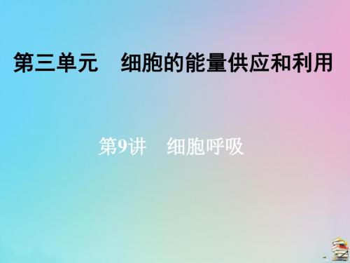 2020届高三生物一轮复习第三单元第9讲细胞呼吸课件新人教版