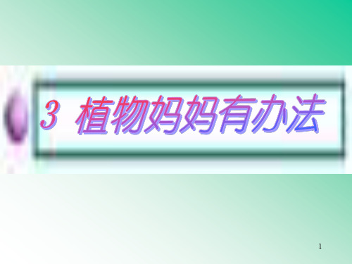 【精品课件学习】六年级下册语文课件 《植物妈妈有办法》课件新课标改编版_1-5