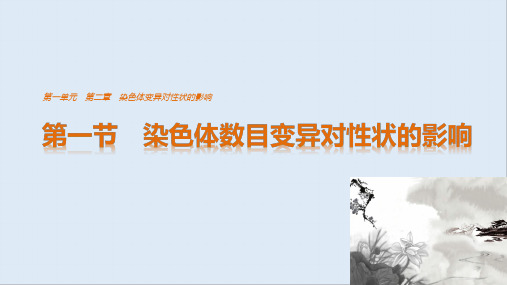 2019-2020版高中生物1.2.1染色体数目变异对性状的影响课件中图版必修2