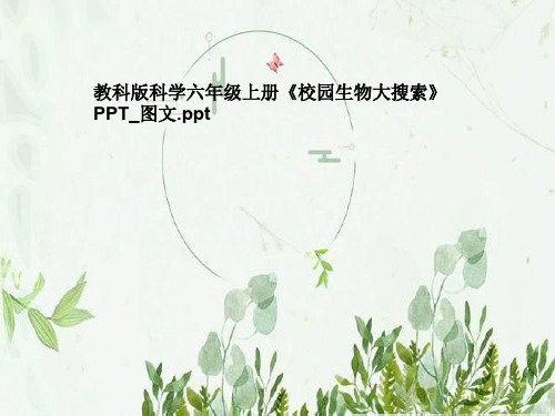教科版科学六年级上册《校园生物大搜索》PPT_图文
