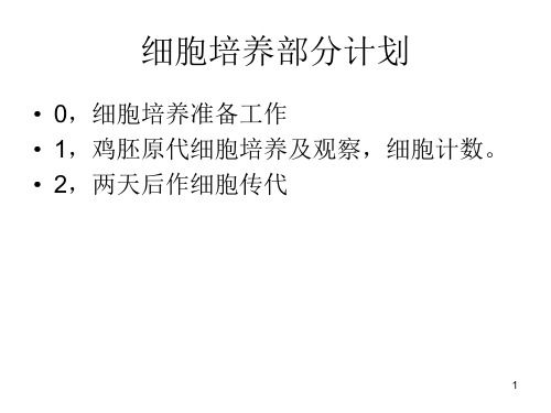 细胞培养PPT课件