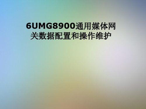 6UMG8900通用媒体网关数据配置和操作维护