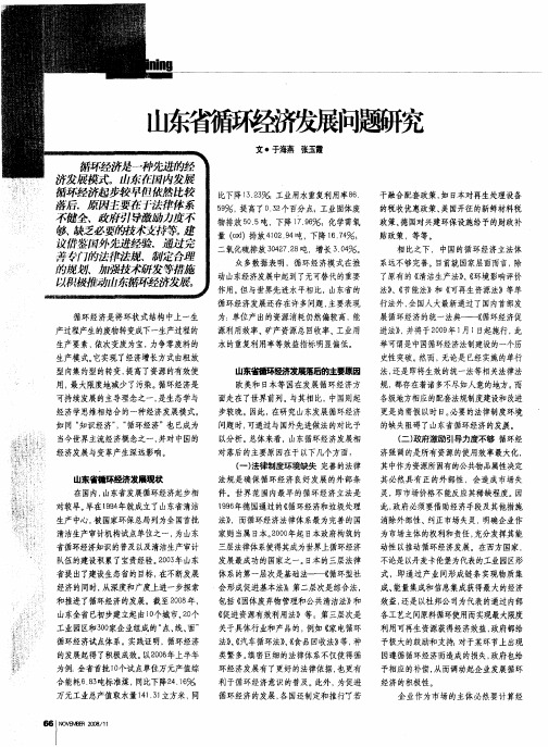 山东省循环经济发展问题研究