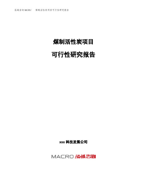 (投资参考建议模板)煤制活性炭项目可行性研究报告
