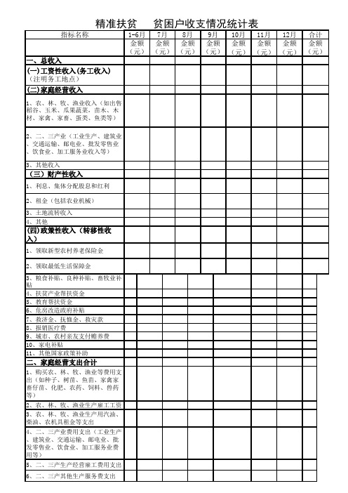 精准扶贫   贫困户收支调查情况统计表