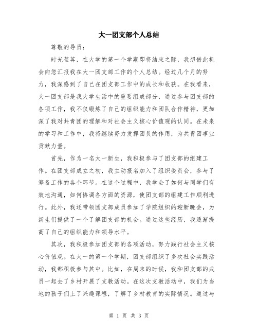 大一团支部个人总结