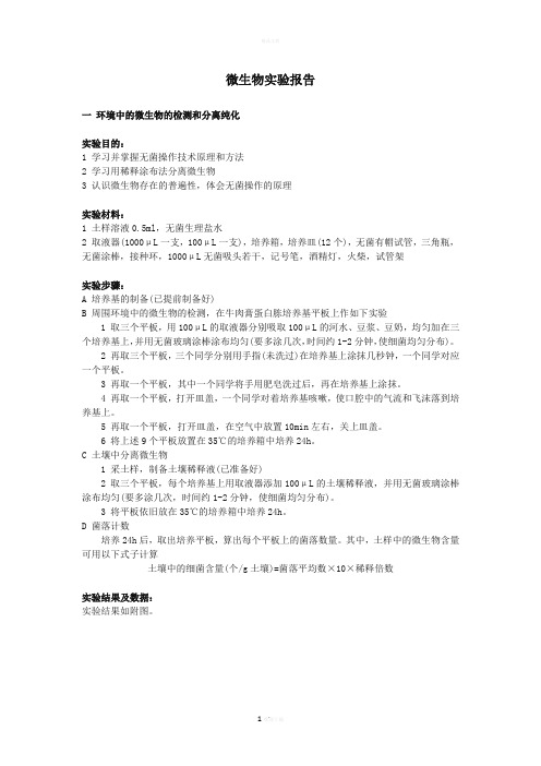 微生物实验报告
