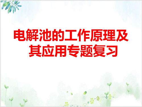 高考电解池的工作原理及其应用专题复习PPT课件