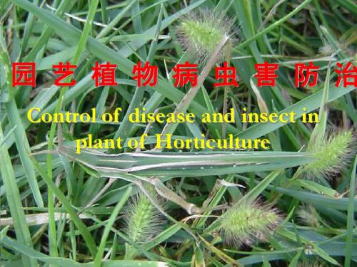 病虫害防治绪论